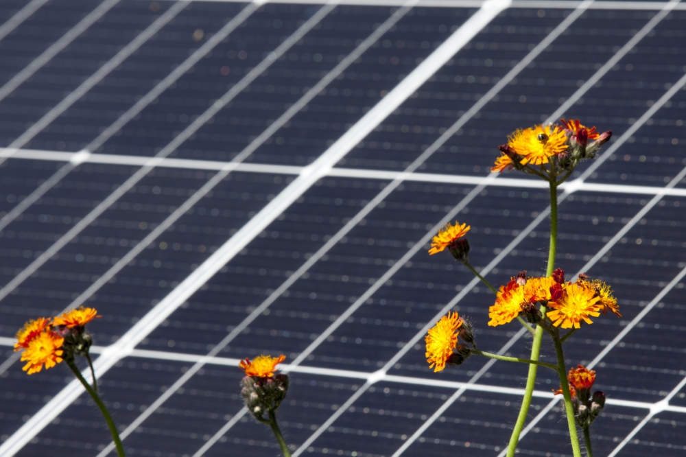 Bild 1 von Photovoltaikanlage im Gruenen der Natur  / (Nutzungsart) Kommerzielle Onlinenutzung / (Seite) Unterseite / (Verwendungsdauer) bis 3 Jahre / (Urheberhinweis) ohne Urheberhinweis