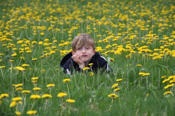 Bild 1 von Foto-Nutzungslizenz 