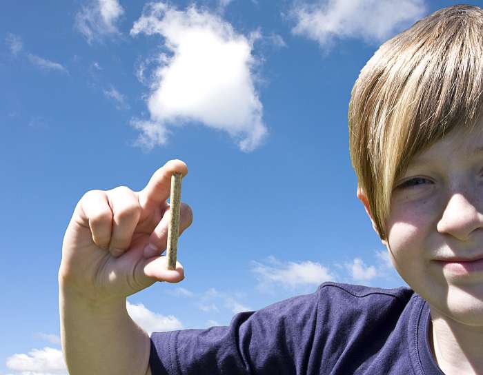 Bild 1 von Foto-Nutzungslizenz  Holzpellet in Kinderhand