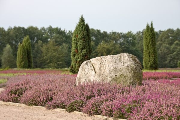Bild 1 von Foto-Nutzungslizenz 