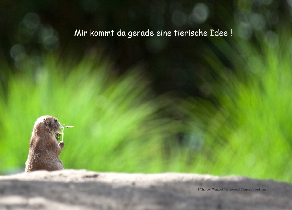 Bild 1 von Foto-Nutzungslizenz  