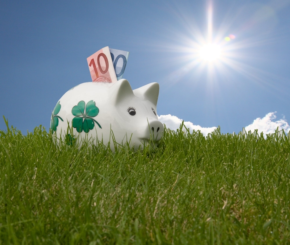 Bild 1 von Foto-Nutzungslizenz  Sparschwein im Grünen mit 30 Euro  / (Nutzungsart) kommerzielle Onlinenutzung / (Zweck) Unterseite einer Domain / (Verwendungsdauer) bis 1 Jahr / (Urheberhinweis) mit Urheberhinweis