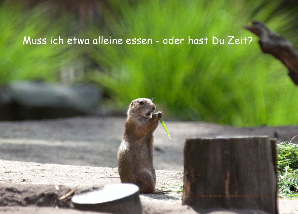 Bild 1 von Foto-Nutzungslizenz  