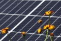 Photovoltaikanlage im Gruenen der Natur
